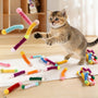 Interactive Cat Spring Toy – Colorful Spiral Plastic Kitten Toy for Chasing, Biting & Swatting | Durable Indoor Cat Play Toy